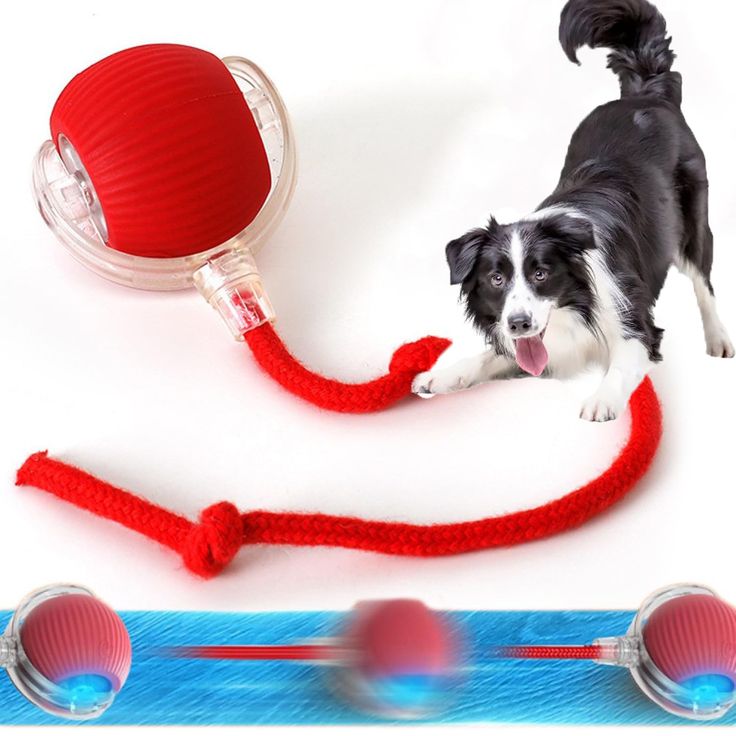 HushPup™ Smart Ball