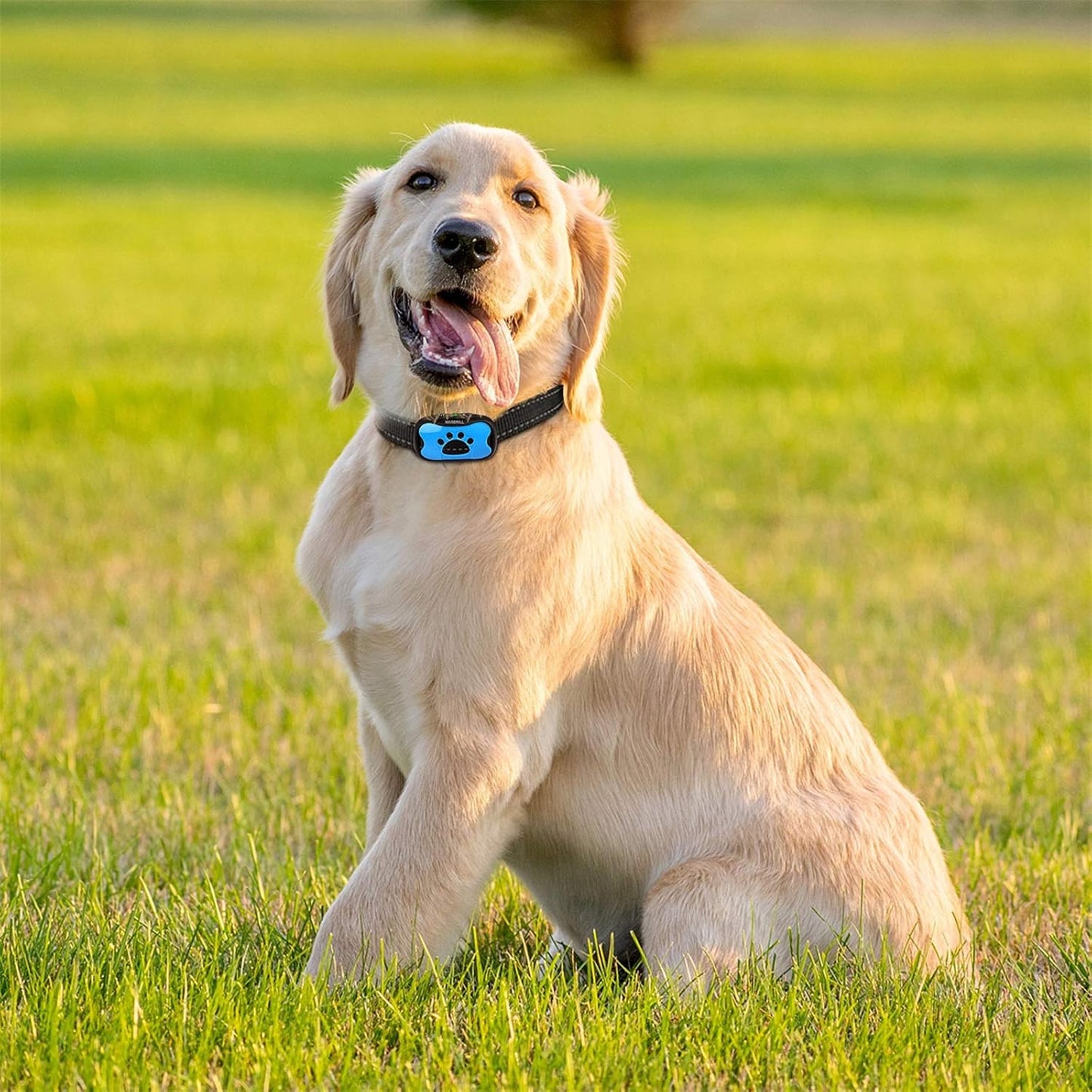 Hushpup™ Anti-Bark Collar