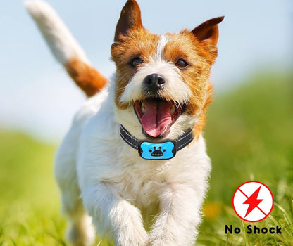 Hushpup™ Anti-Bark Collar