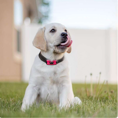 Hushpup™ Anti-Bark Collar